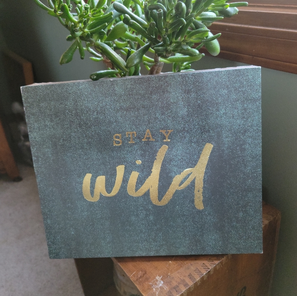 Stay Wild Wall Decor